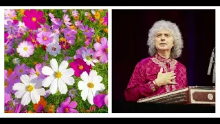 Pt Shiv Kumar Sharma santoor raag dhun mishra tilang