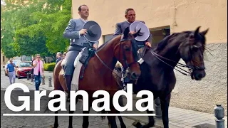 🇪🇸España, Granada, un paseo por el vibrante centro de la ciudad.🚶‍♂️