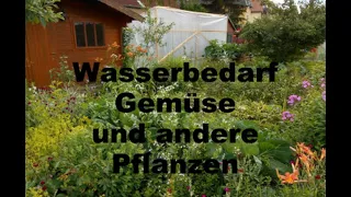 Webinar: Wasserbedarf im Gemüseanbau