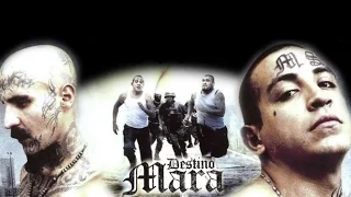 Destino Mara LATINO   Peliculas Completas en Español Latino Drama Acción