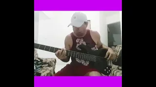 SEQUÊNCIA DE LOVIZINHO @estilo Xande avião @bass cover💚👉🎧🎸🔥