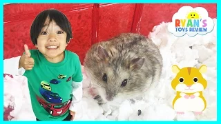 Ryan ToysReview first pet Buying Hamster from PetSmart