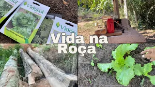 Dia lindo🏠Cuidei da horta, das plantas e fomos no sítio fazer a tão sonhada ponte com a passarela ❤️