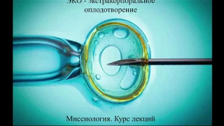 ЭКО - экстракорпоральное оплодотворение. Миссиология. Курс лекций