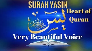 Surah Yasin /Yaseen by female/ tilawat Quran Best voice By female /Girl / Noran alakram#surahyaseen