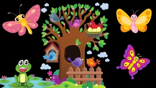 Baby Sensory - Spring colors and butterflies, flowers with beautiful music