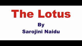 The Lotus Summary in hindi by Sarojini Naidu / हिंदी / English Literature