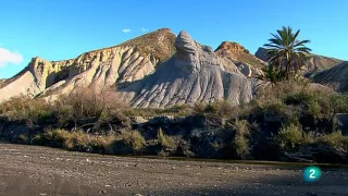 Tesoro del sur - Monte inteligente (Primavera) [3/4]