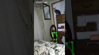 Ghost Cat sees ghost in Haunted Bedroom #shorts #ghostcats #ghost #haunted #creepy