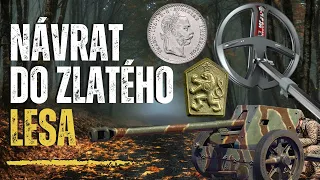 Návrat do zlatého lesa - průzkum další části oblasti! #deus2 #equinox800 #metaldetecting #silvercoin