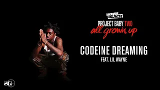 Kodak Black   Codeine Dreaming feat  Lil Wayne Official Audio