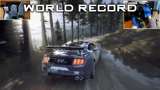 [World Record] Ford Mustang GT4 (Scotland Rally)  | DiRT Rally 2.0 | T300RS + TH8A