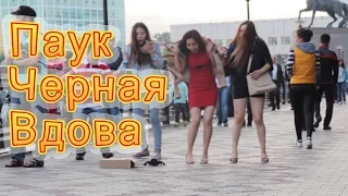 ► Пранк. Паук Черная Вдова/ Black Widow Spider Prank