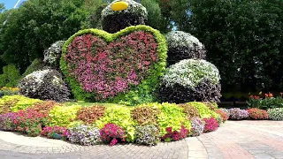 Dubai Miracle Garden 2024 || The world’s largest natural flower garden