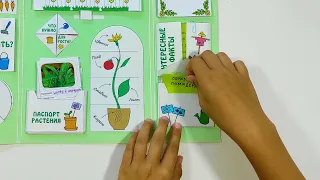 Лэпбук «Мой сад» — lapbook.ru