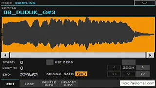 Created Multisample Korg Pa (DUDUK)