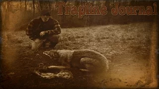 Trapline Journal Skunk Live Release