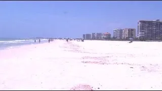 Another possible shark sighted off Marco Island