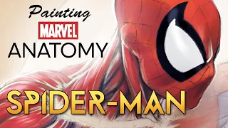 Painting Marvel Anatomy | Spider-Man