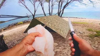 Living From The Ocean... Solo Beach Camping On An Uninhabited Island - Day 2