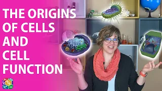 Visible Biology | Lesson 8: The Origins of Cells and Cell Function