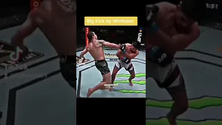 ROBERT WHITTAKER VS KELVIN GASTELUM HIGHLIGHTS #Shorts