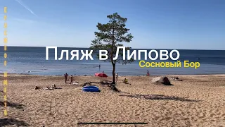 Пляж в Липово, Сосновый Бор