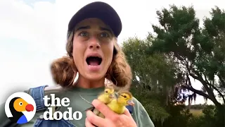 Are You My Mother? | The Dodo