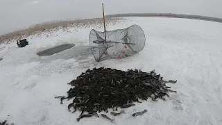 Мордушка Трещала от Такого Улова/Рыбалка на Ротана/