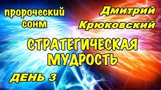 Пророческий сонм (Дмитрий Крюковский) СТРАТЕГИЧЕСКАЯ МУДРОСТЬ