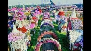 Dubai Miracle Garden 2016-UAE