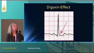 Intoxications Heatherlee Bailey    ISICEM 2023