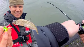 Von der MADE zum ZANDER | Angeln mit Köderfisch am Mittellandkanal im Winter