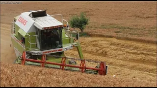 Claas Dominator 198H [Az. Agr Pedicone & Soc. Agr. F.lli D'Antonio] - Harvest Season 2020-