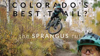 Colorado's Best MTB Trail? - The Sprangus Rut