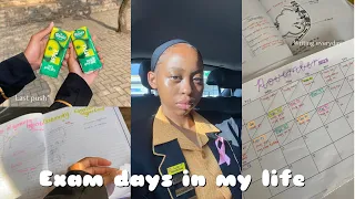 FINAL EXAMS WEEK📚🙇‍♀️| *study with me | last push of the year 🤭| South African YouTuber