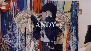 ANDY - 浩克