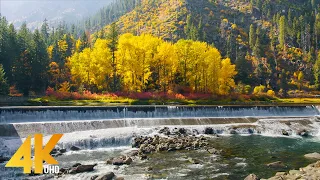 4K Fall Foliage of Leavenworth Area - 3,5 HRS of Amazing Autumn Scenery and Nature Sounds