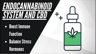 What YOU need to know about CBD