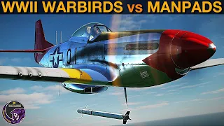 Questioned: How Effective Are Manpads Against Warbirds? | DCS WORLD