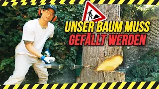 VORSICHT BAUM FÄLLT! ... leider (Achtung, sehr männliches Video)