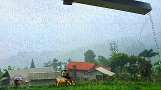 [4K] Heavy Rain in Cliffside Village - Really Beautiful and cool - Indonesian Countryside