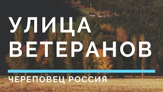 Улица Ветеранов Череповец Россия