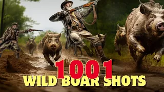 1001 Wild boar shots