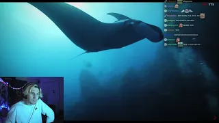 xQc Reacts to 1/3 of 'Fear of the Deep' by Nexpo