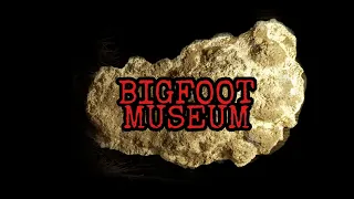 Expedition Bigfoot - Sasquatch Museum