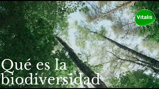 Qué es la biodiversidad