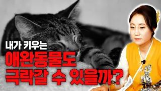 우리집 애완동물도 극락갈 수 있을까? 내가 키우는 강아지, 고양이도 천국에 갈 수 있을까? 애완동물 키우는 사람들 주목해서 보세요 ! [용한무당 용인중전마마]