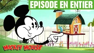 Mickey Mouse - À table, les oiseaux