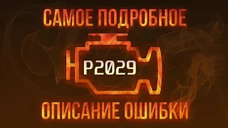 Код ошибки P2029, диагностика и ремонт автомобиля